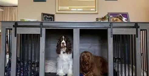 Custom dog outlet kennel furniture